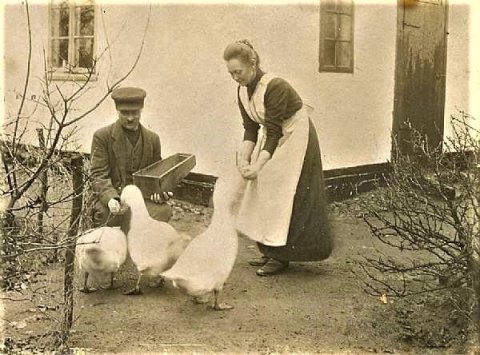 Oldeforældre i Mørkøv